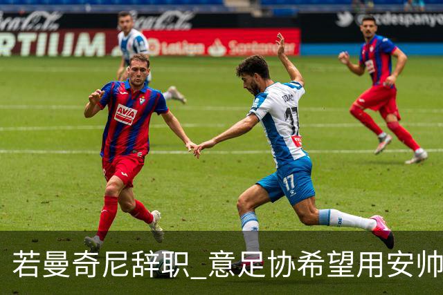 若曼奇尼辞职 意足协希望用安帅或卡纳瓦罗替代